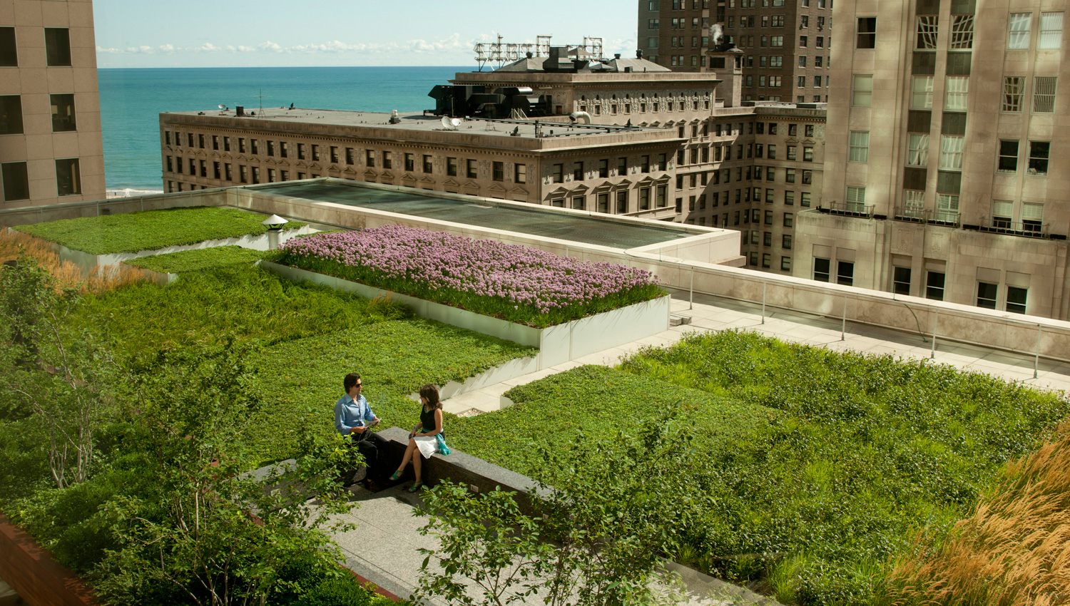 Зеленый сад на крыше многоэтажки